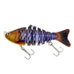 🎣 50 % RABATT! 🐟 Mehrsegmentiger bionischer Schwimmköder