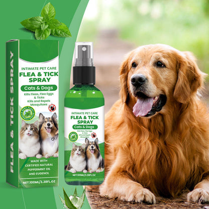 🍃 Natürliches Floh- und Zeckenspray für Hunde und Katzen 🐾 Halte dein geliebtes Haustier frei von Schädlingen 🐶🐱✨
