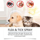 🍃 Natürliches Floh- und Zeckenspray für Hunde und Katzen 🐾 Halte dein geliebtes Haustier frei von Schädlingen 🐶🐱✨