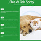 🍃 Natürliches Floh- und Zeckenspray für Hunde und Katzen 🐾 Halte dein geliebtes Haustier frei von Schädlingen 🐶🐱✨