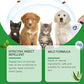 🍃 Natürliches Floh- und Zeckenspray für Hunde und Katzen 🐾 Halte dein geliebtes Haustier frei von Schädlingen 🐶🐱✨
